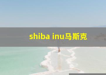 shiba inu马斯克